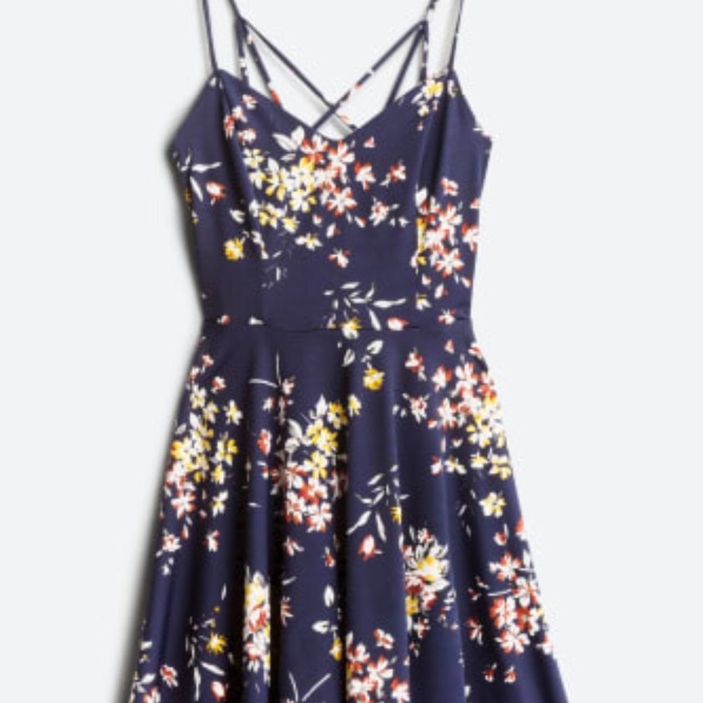 Reign Back Detail Brushed Knit Dress